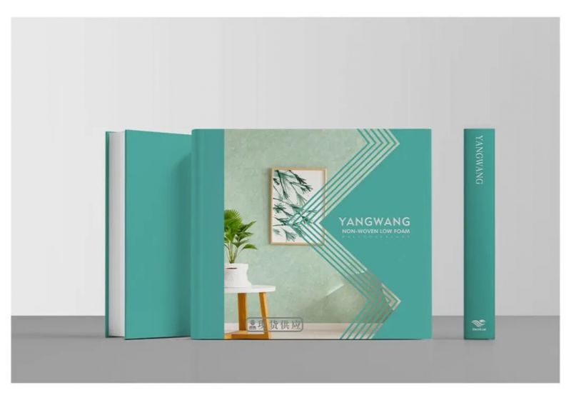 煥新墻面美學，洛陽北臺新品《仰望》上市！